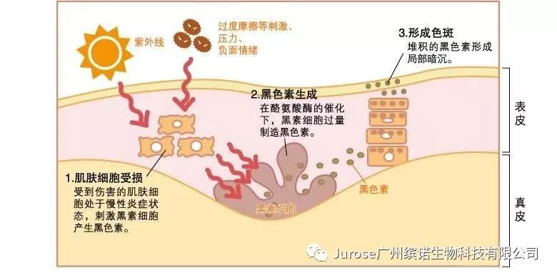 利来国际旗舰厅(中国区)_w66利来官网