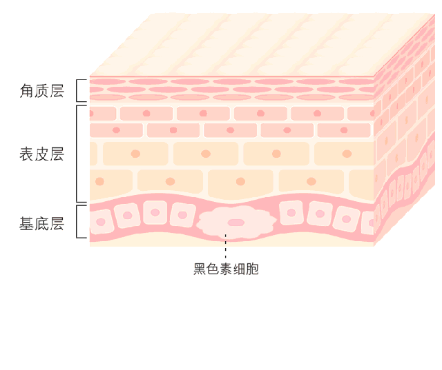 利来国际旗舰厅(中国区)_w66利来官网